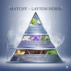 MATCHY LAYTON HORSE - MATCHY
