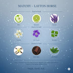 MATCHY LAYTON HORSE - MATCHY